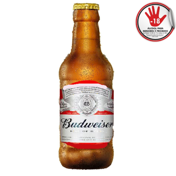 CERVEJA BUDWEISER 300ML RETOR  CX24