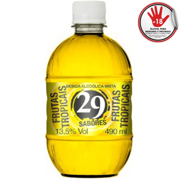 COROTE 29 FRUTAS TROPICAIS 500ML CX/12