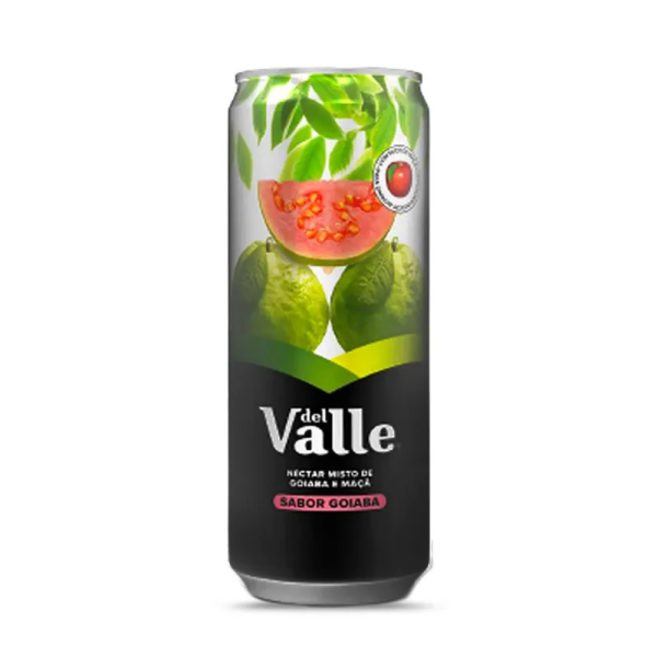 DEL VALLE  GOIABA 6 X 290 ML
