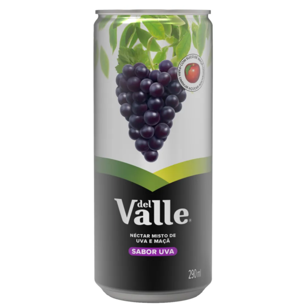DEL VALLE  UVA 6 X 290 ML