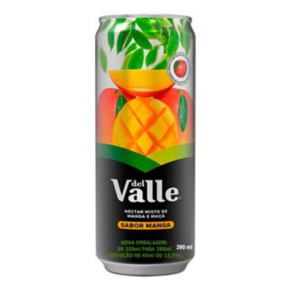 DEL VALLE MANGA 6 X 290 ML - DG Distribuidora