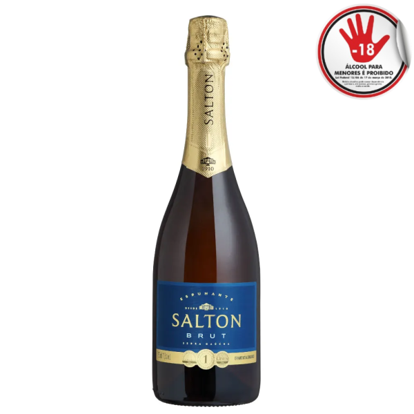 ESPUMANTE SALTON BCO BRUT  750ML