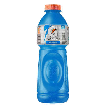 GATORADE BLUE BERRY PET 500ML C/6 - DG Distribuidora