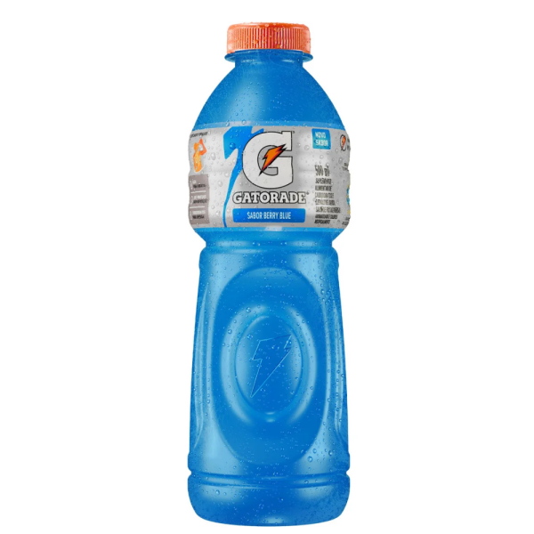 GATORADE BLUE BERRY PET 500ML C/6